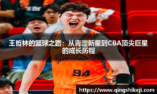 韦德bevictor